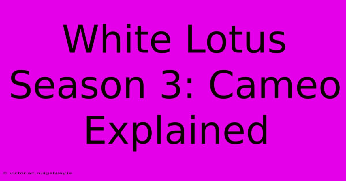 White Lotus Season 3: Cameo Explained