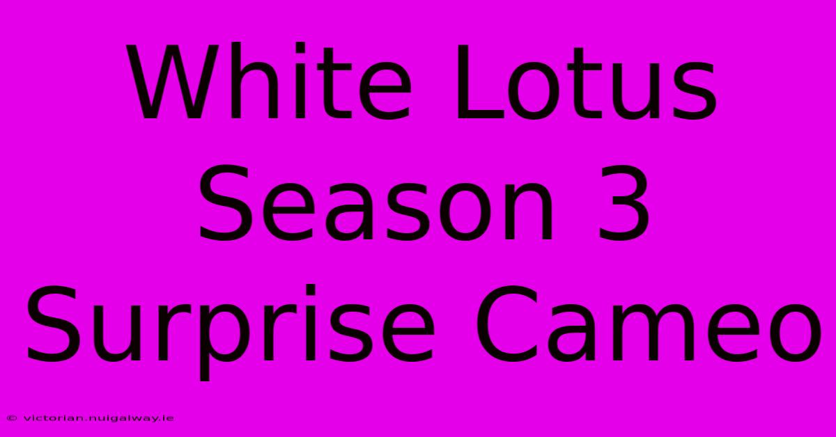 White Lotus Season 3 Surprise Cameo