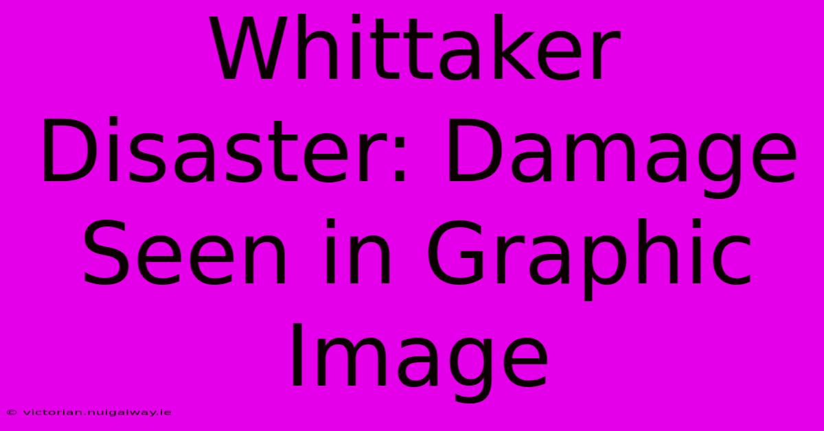 Whittaker Disaster: Damage Seen In Graphic Image