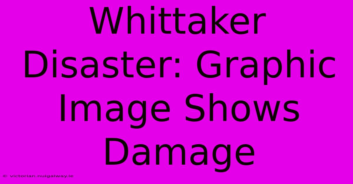 Whittaker Disaster: Graphic Image Shows Damage