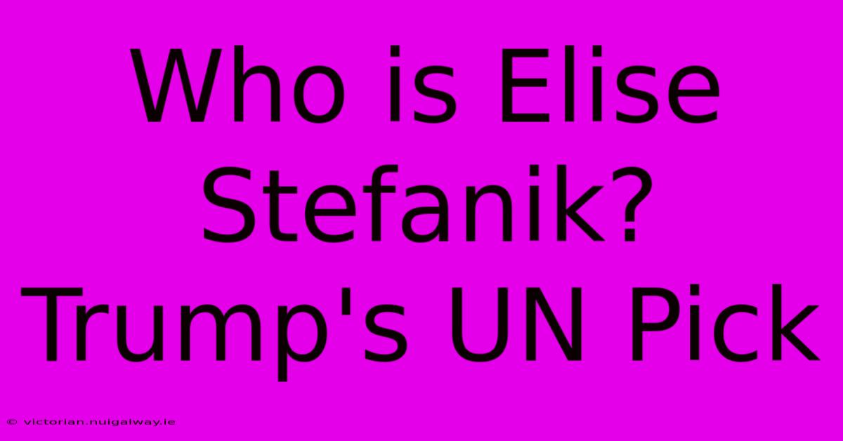 Who Is Elise Stefanik? Trump's UN Pick