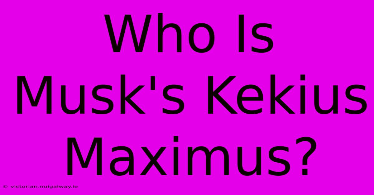 Who Is Musk's Kekius Maximus?