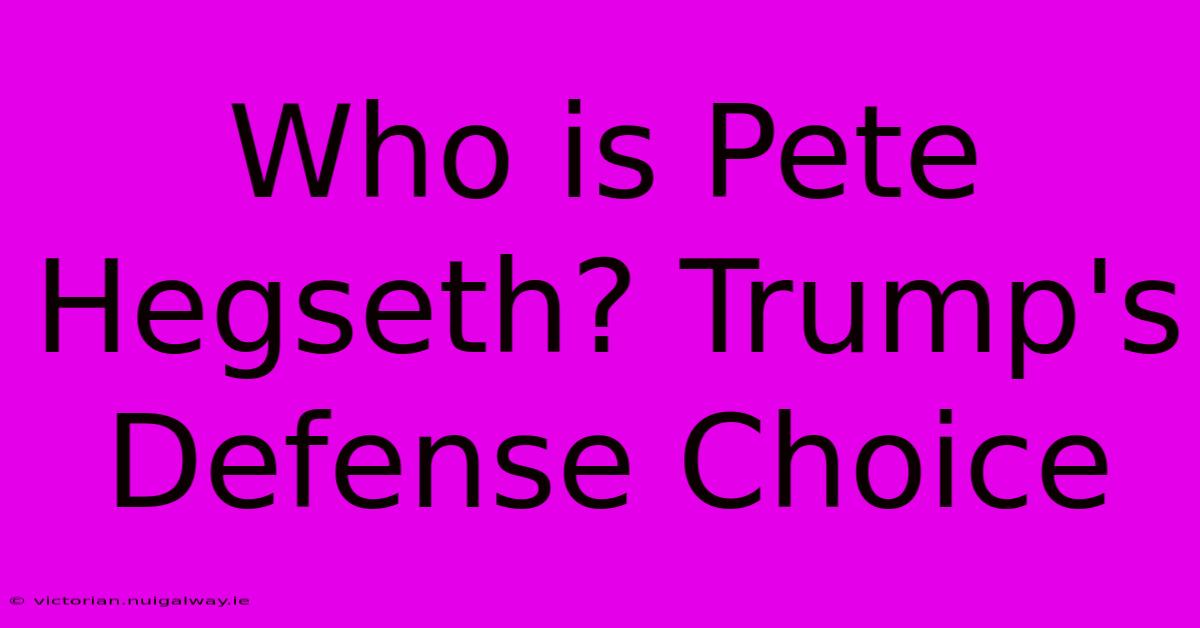 Who Is Pete Hegseth? Trump's Defense Choice