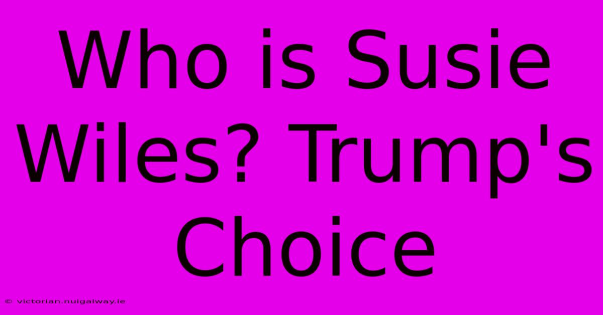 Who Is Susie Wiles? Trump's Choice