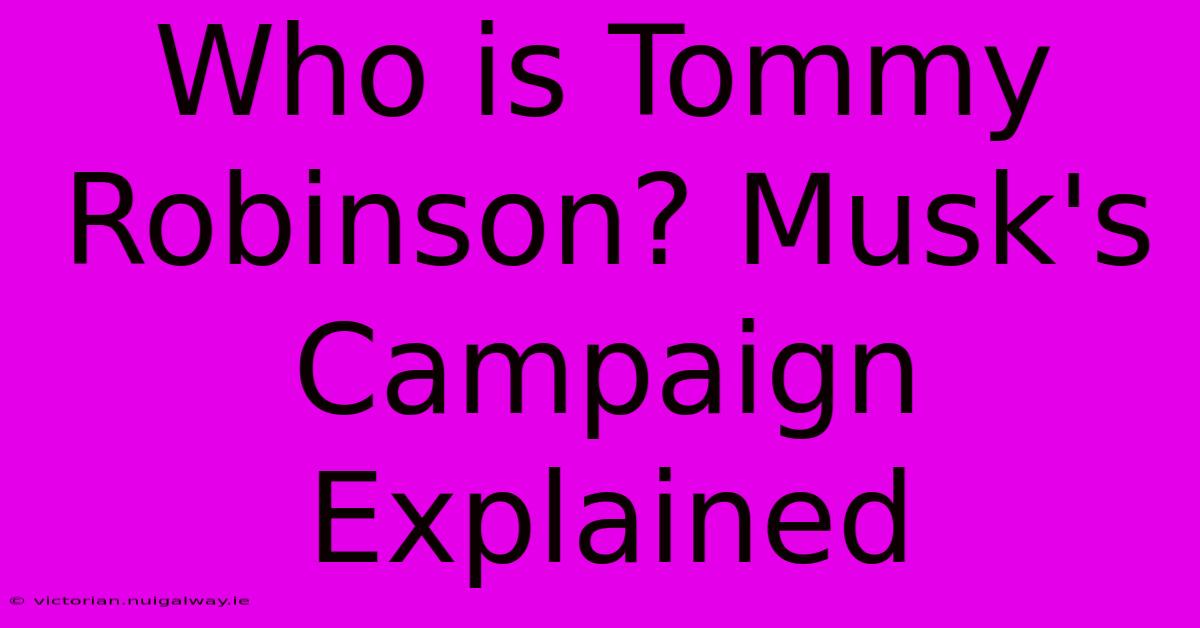 Who Is Tommy Robinson? Musk's Campaign Explained