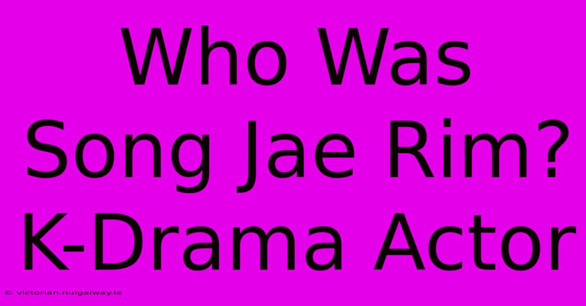 Who Was Song Jae Rim? K-Drama Actor 