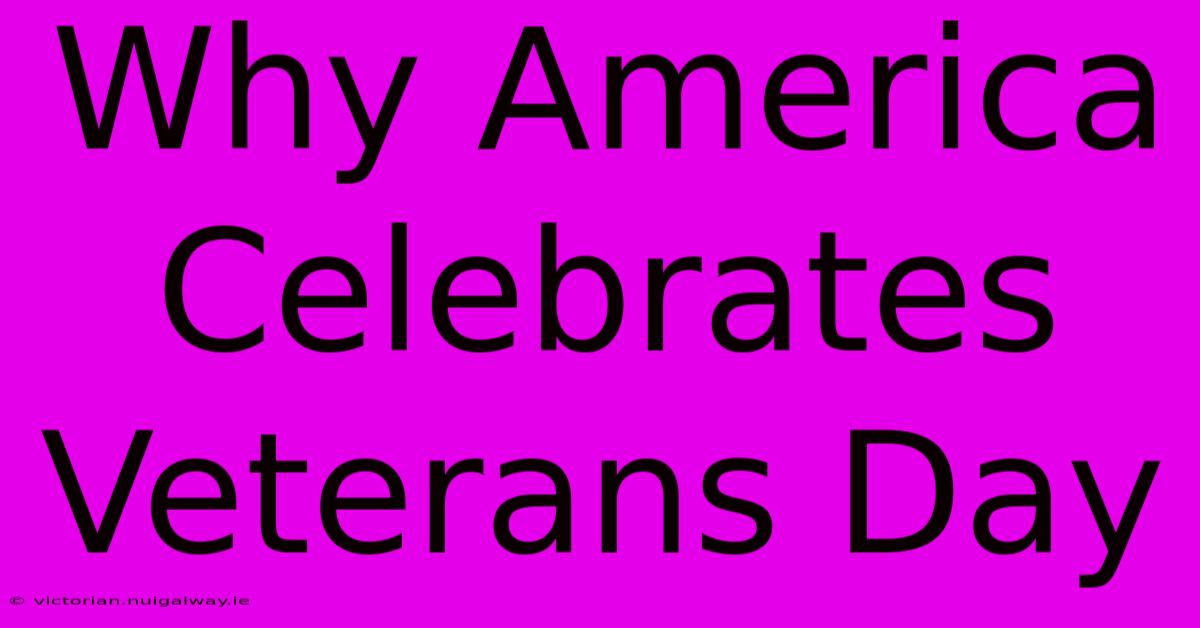 Why America Celebrates Veterans Day