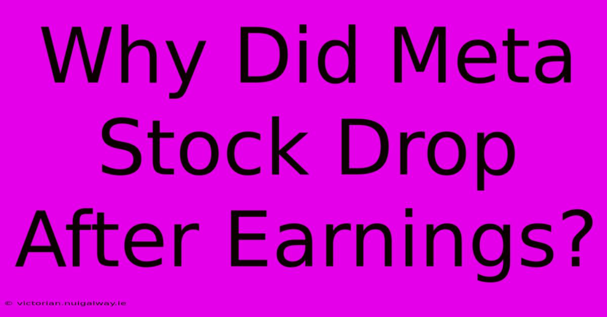 Why Did Meta Stock Drop After Earnings?