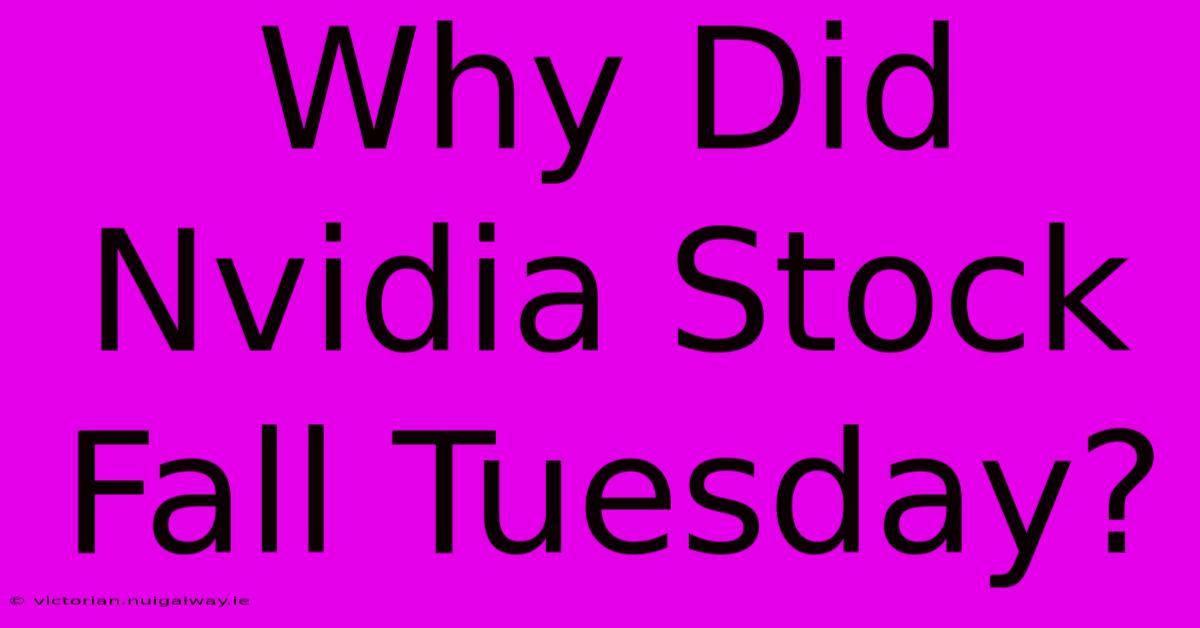 Why Did Nvidia Stock Fall Tuesday?