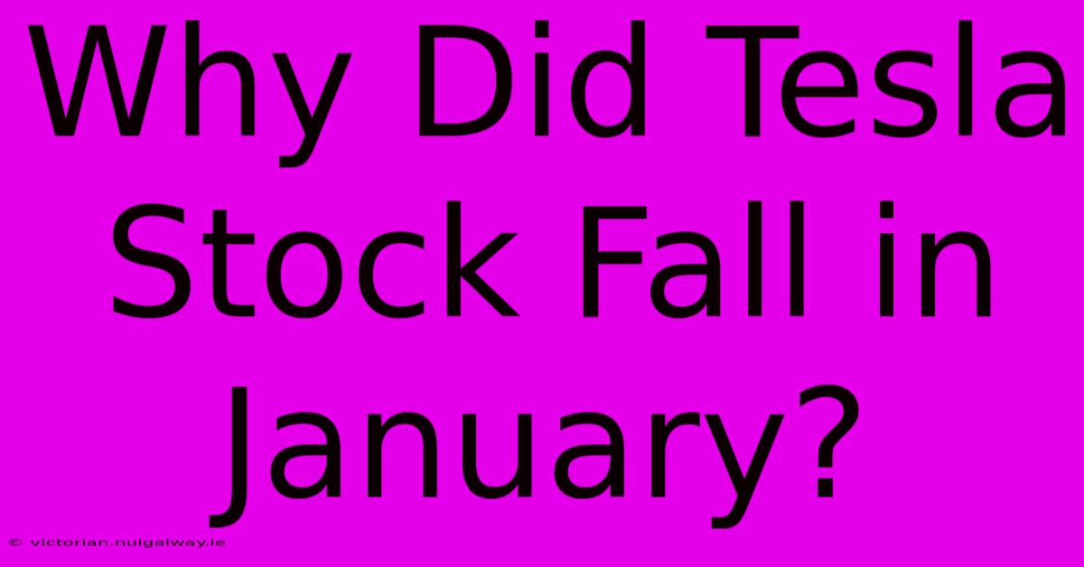 Why Did Tesla Stock Fall In January?