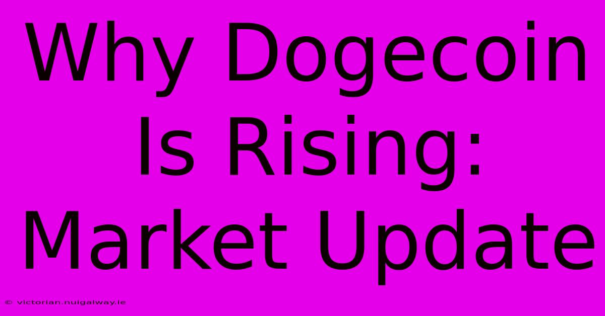 Why Dogecoin Is Rising: Market Update