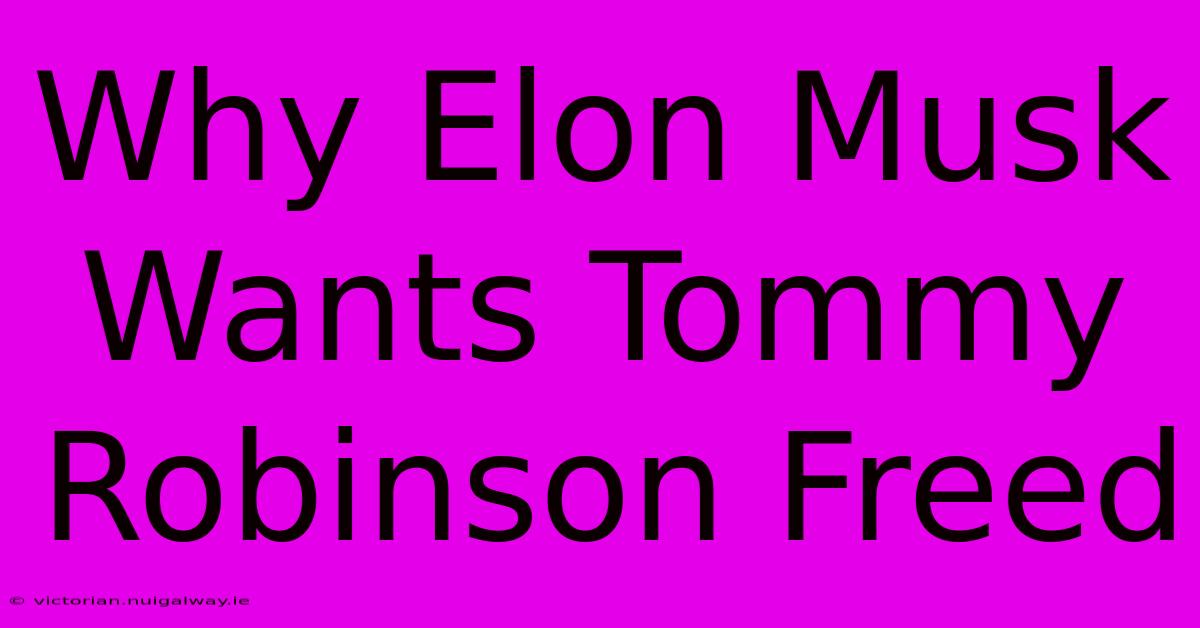 Why Elon Musk Wants Tommy Robinson Freed