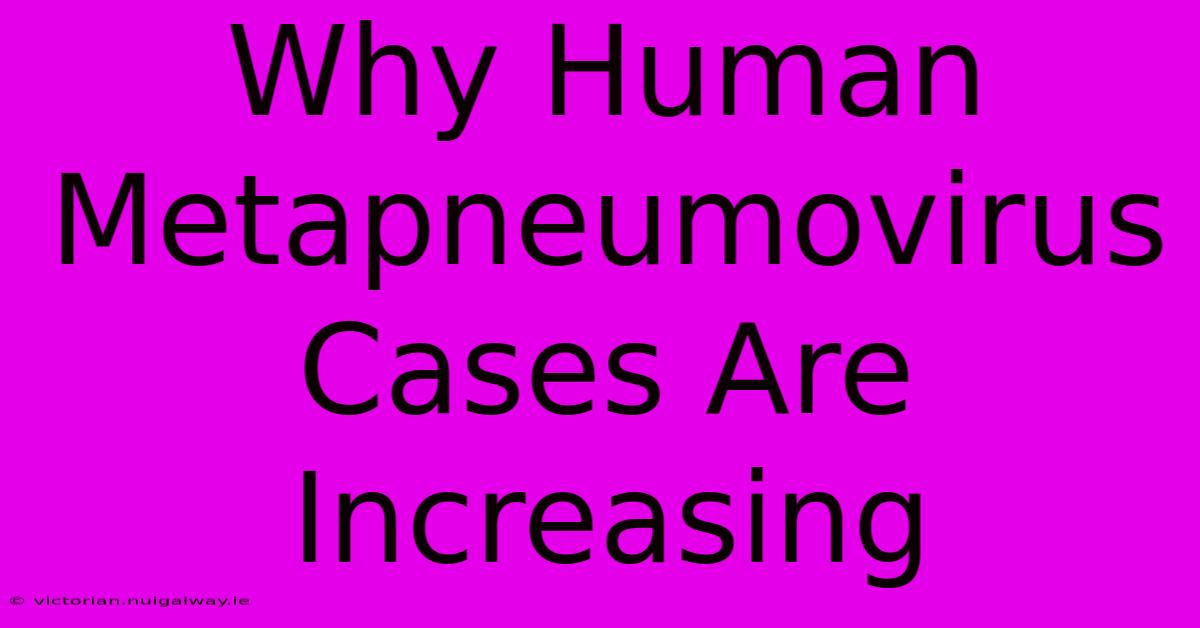 Why Human Metapneumovirus Cases Are Increasing