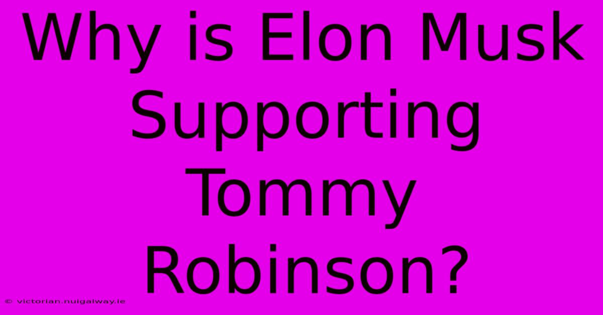 Why Is Elon Musk Supporting Tommy Robinson?