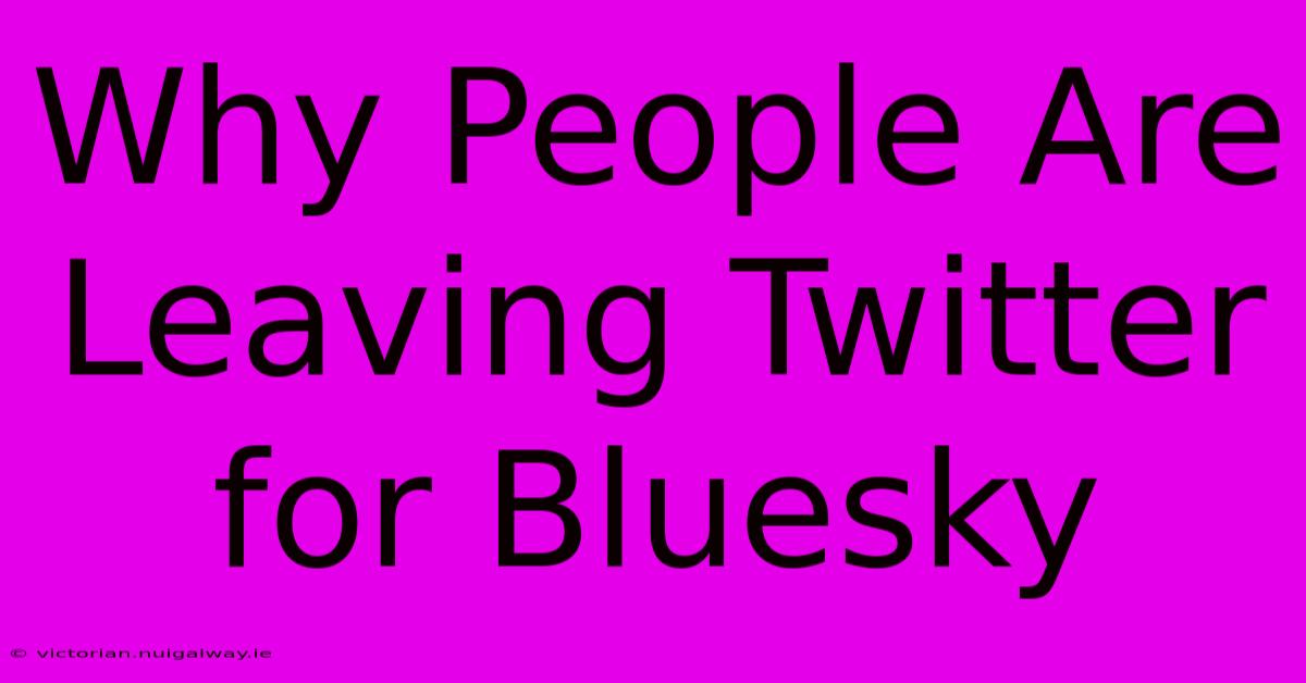 Why People Are Leaving Twitter For Bluesky