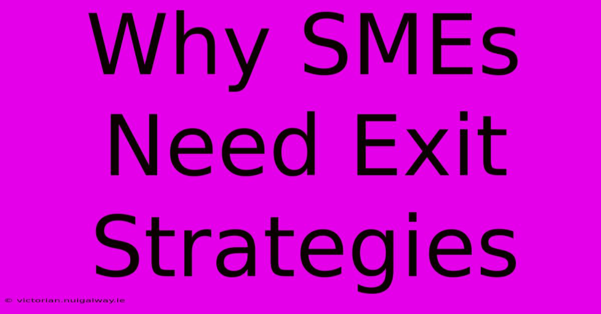 Why SMEs Need Exit Strategies