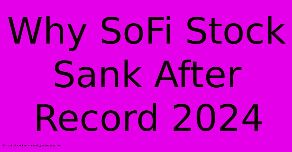 Why SoFi Stock Sank After Record 2024