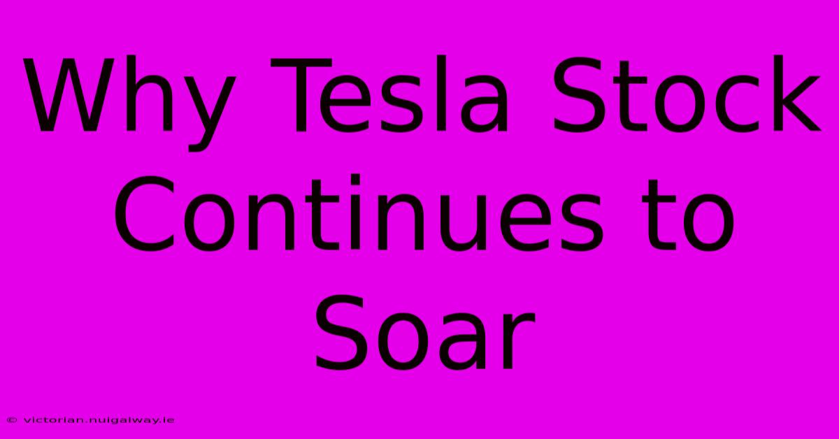 Why Tesla Stock Continues To Soar 