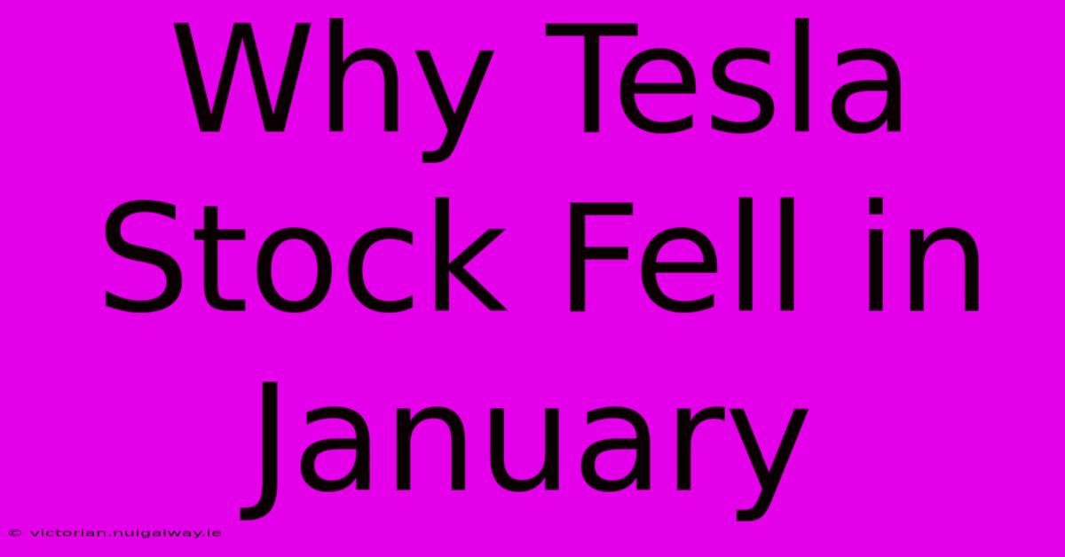 Why Tesla Stock Fell In January