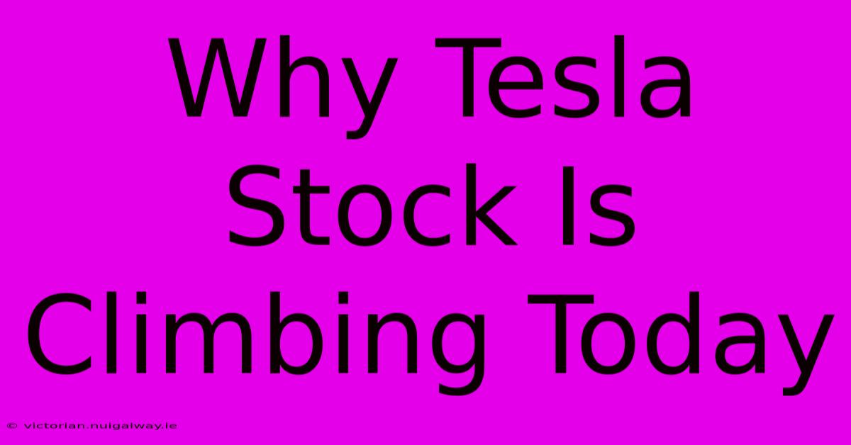 Why Tesla Stock Is Climbing Today