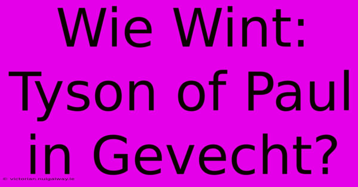 Wie Wint: Tyson Of Paul In Gevecht?