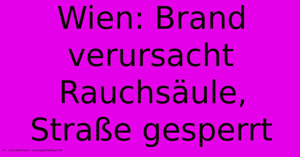 Wien: Brand Verursacht Rauchsäule, Straße Gesperrt