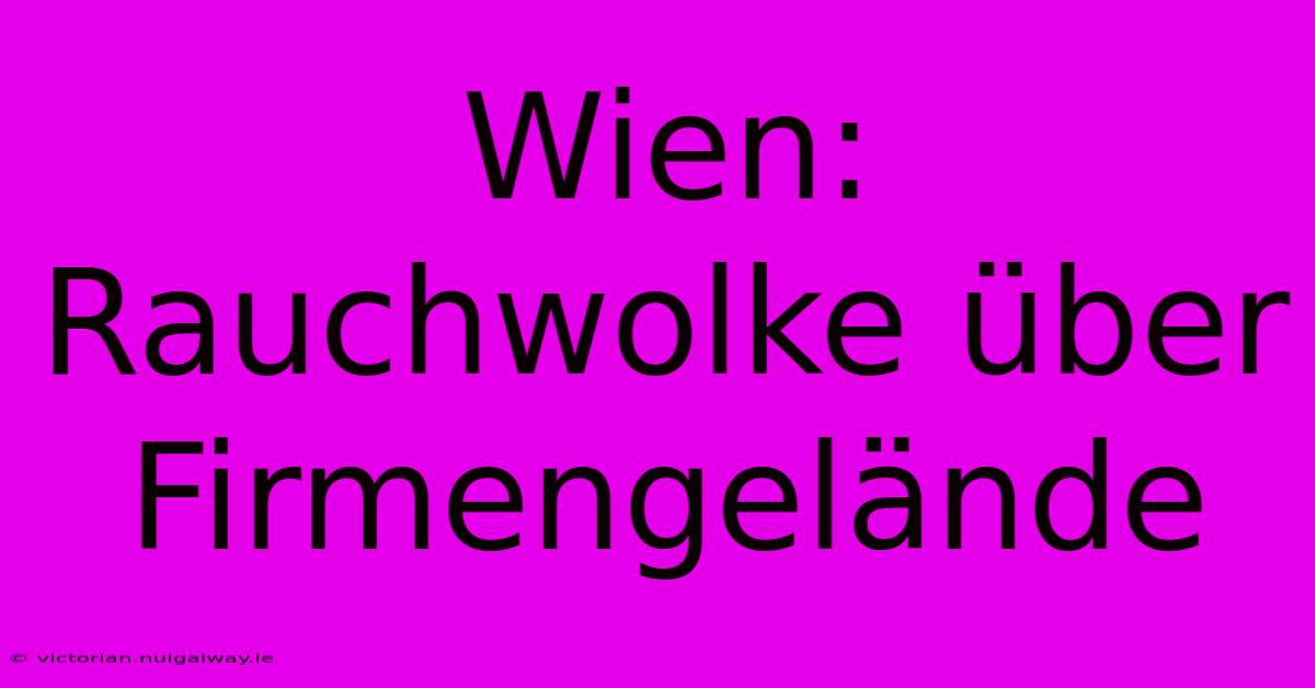 Wien: Rauchwolke Über Firmengelände