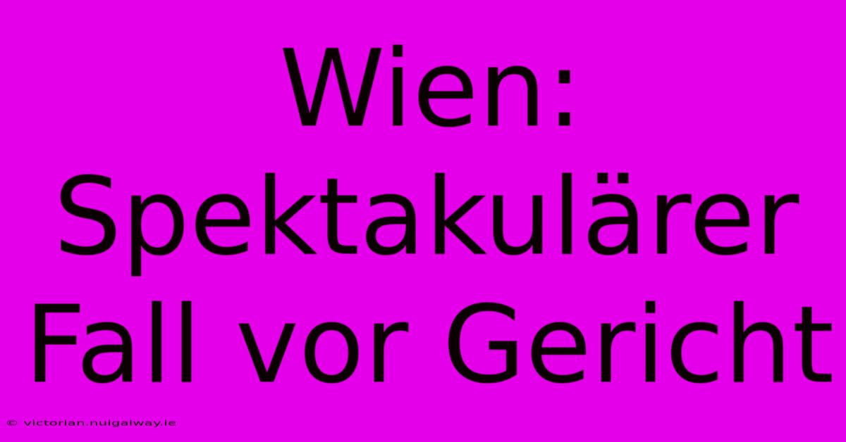 Wien: Spektakulärer Fall Vor Gericht