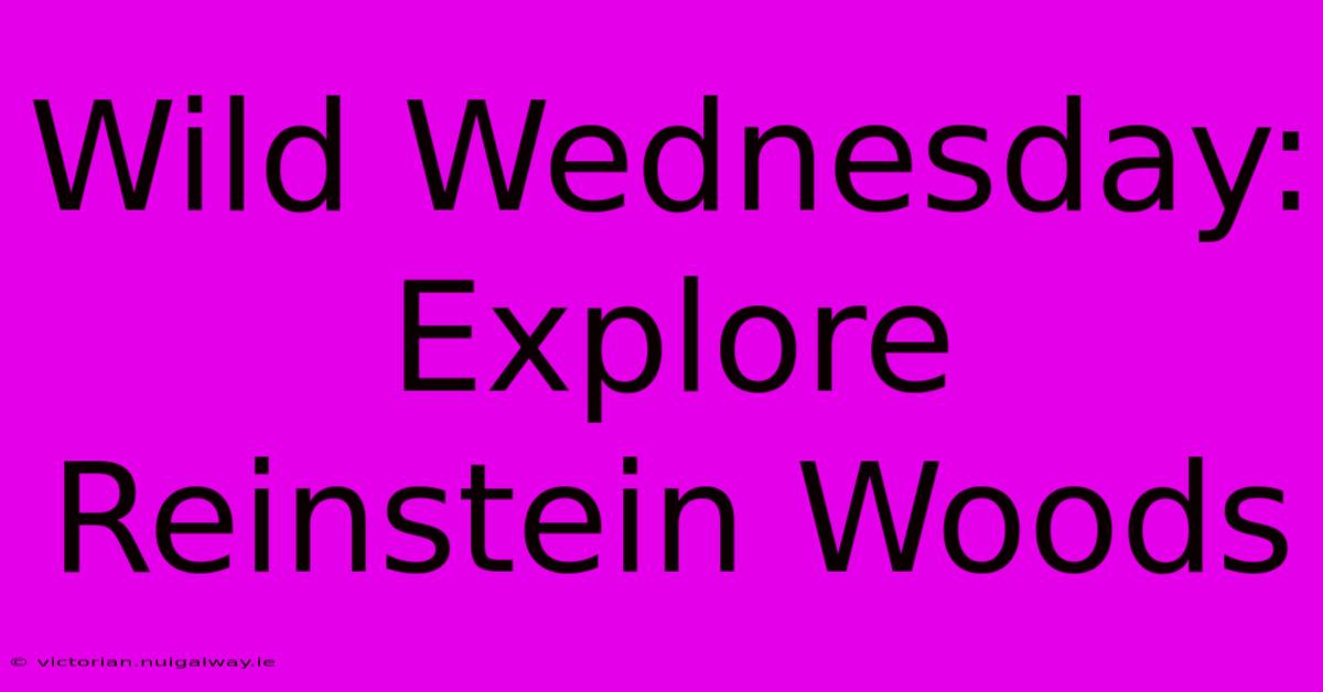 Wild Wednesday: Explore Reinstein Woods