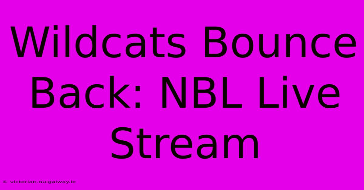 Wildcats Bounce Back: NBL Live Stream