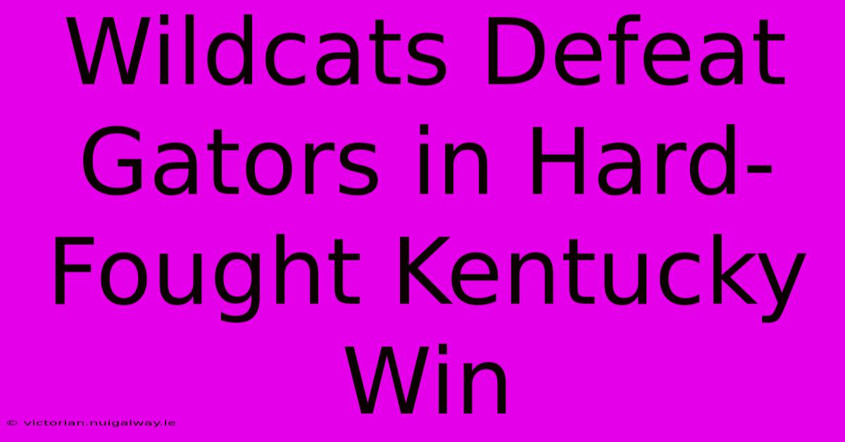 Wildcats Defeat Gators In Hard-Fought Kentucky Win