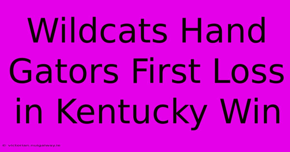 Wildcats Hand Gators First Loss In Kentucky Win