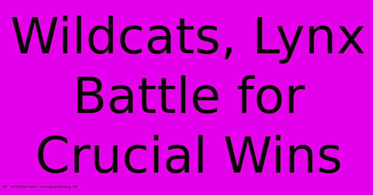 Wildcats, Lynx Battle For Crucial Wins