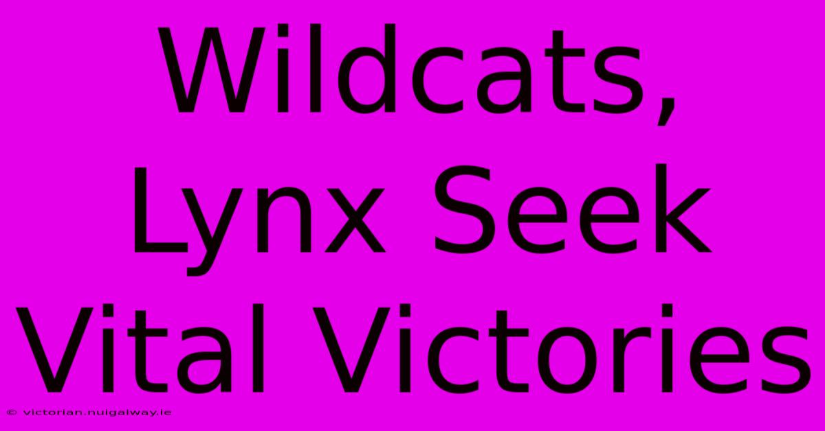 Wildcats, Lynx Seek Vital Victories 