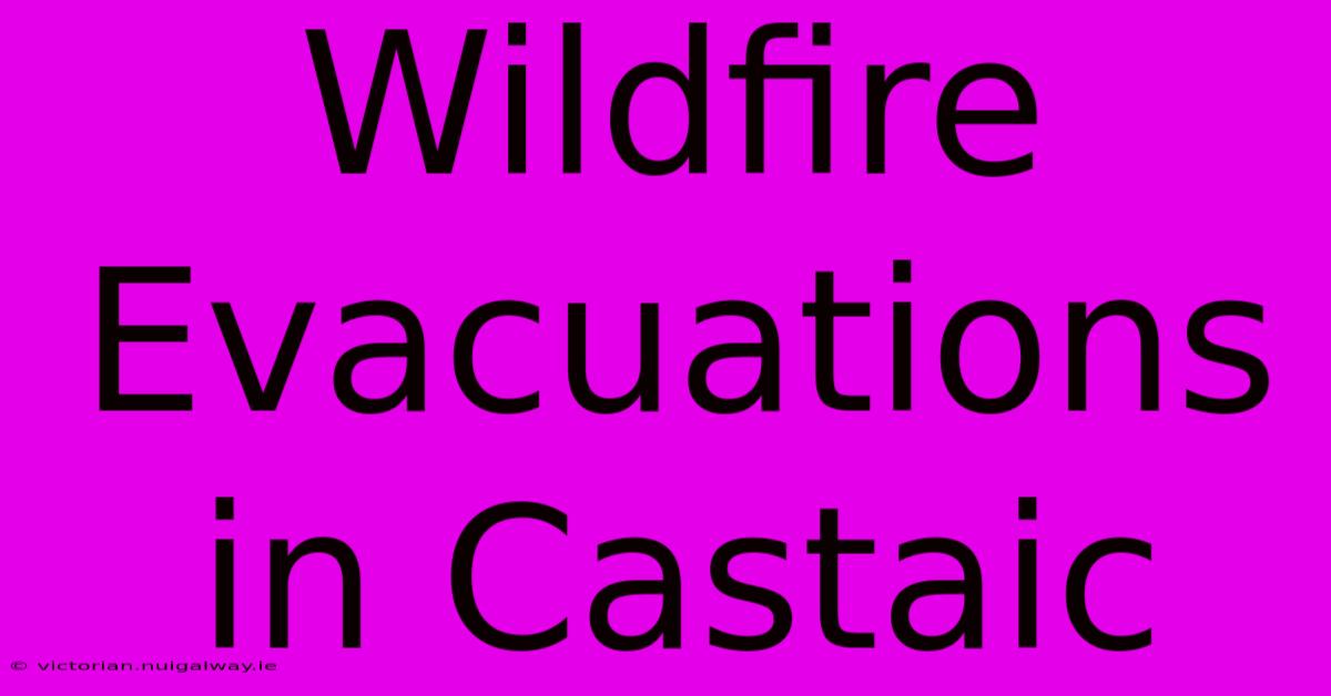 Wildfire Evacuations In Castaic