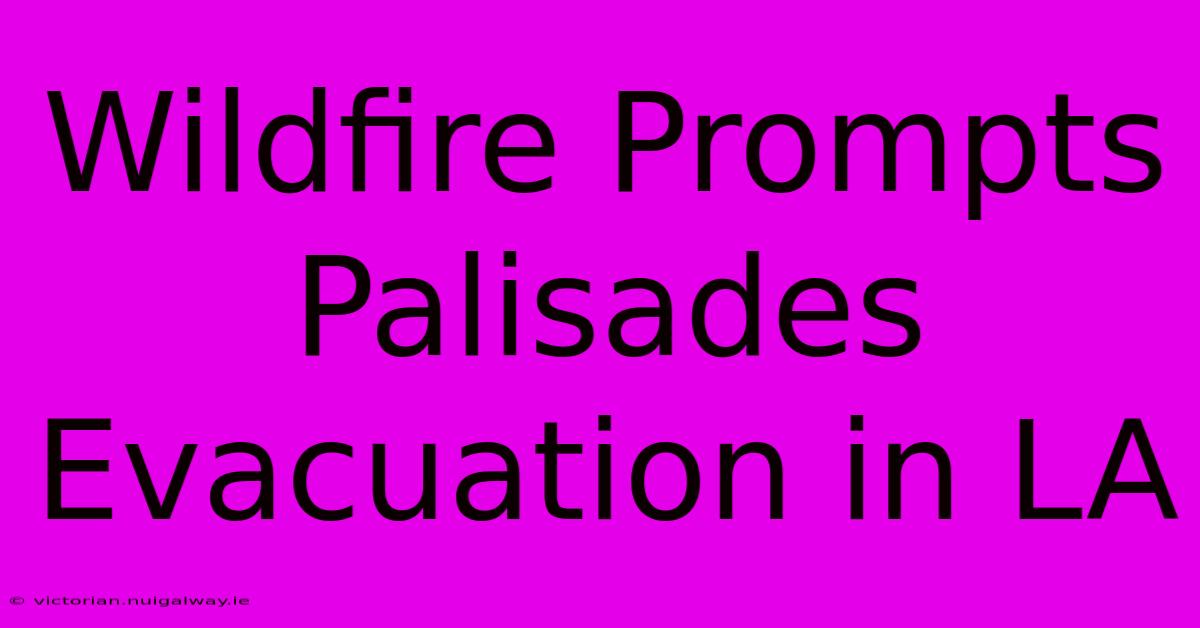 Wildfire Prompts Palisades Evacuation In LA