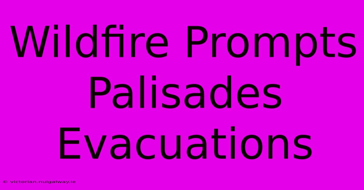 Wildfire Prompts Palisades Evacuations