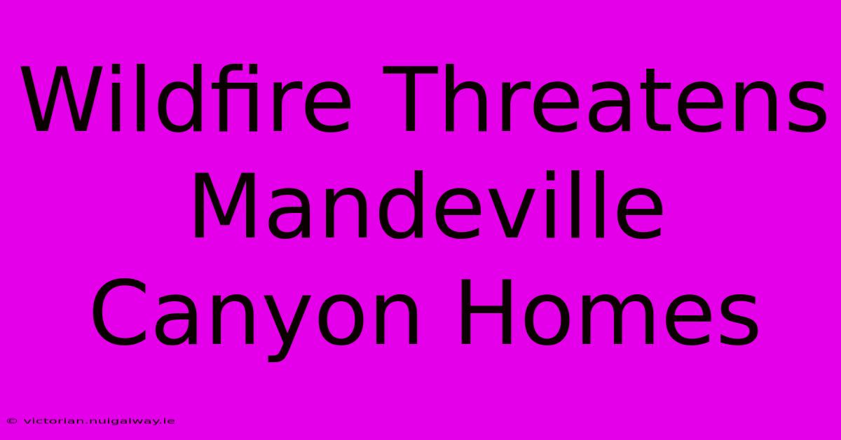 Wildfire Threatens Mandeville Canyon Homes