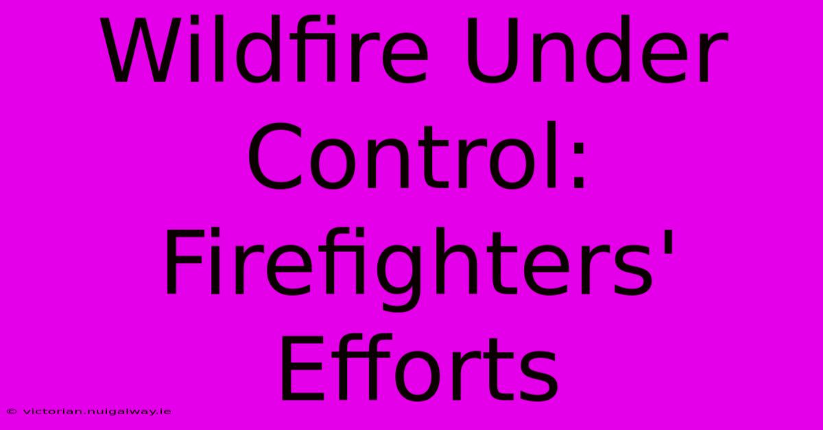 Wildfire Under Control: Firefighters' Efforts