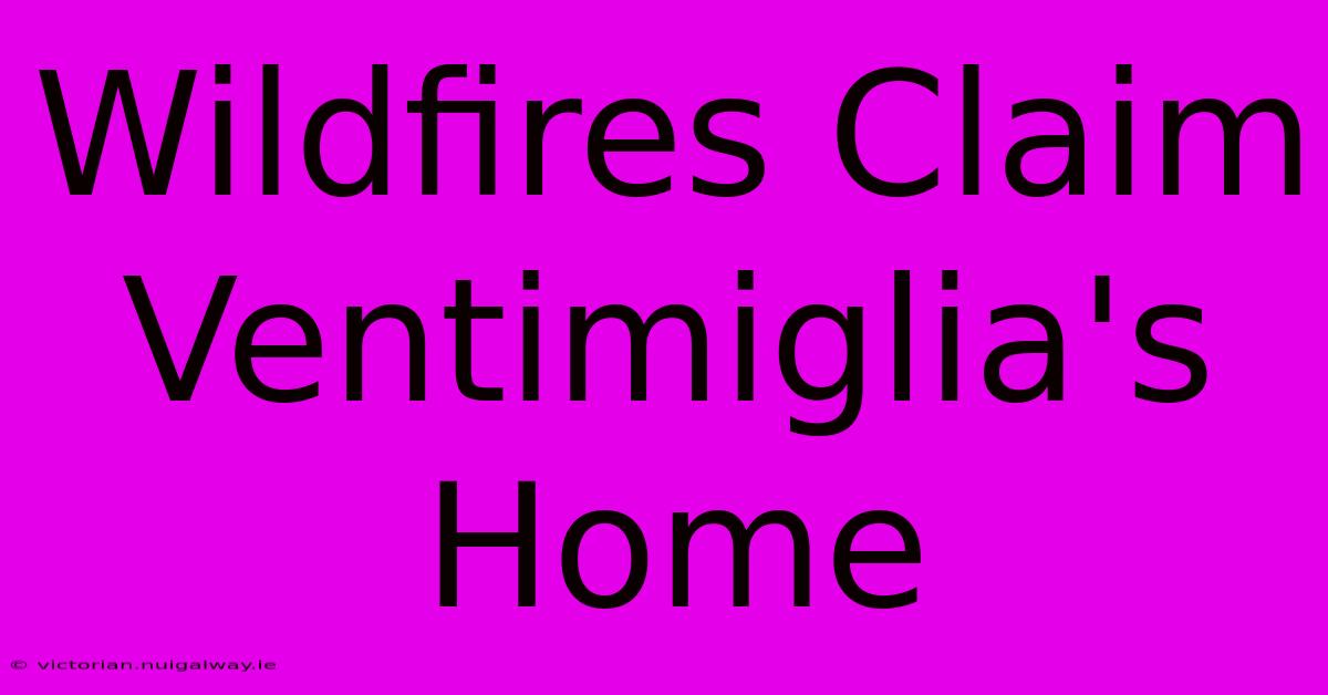 Wildfires Claim Ventimiglia's Home