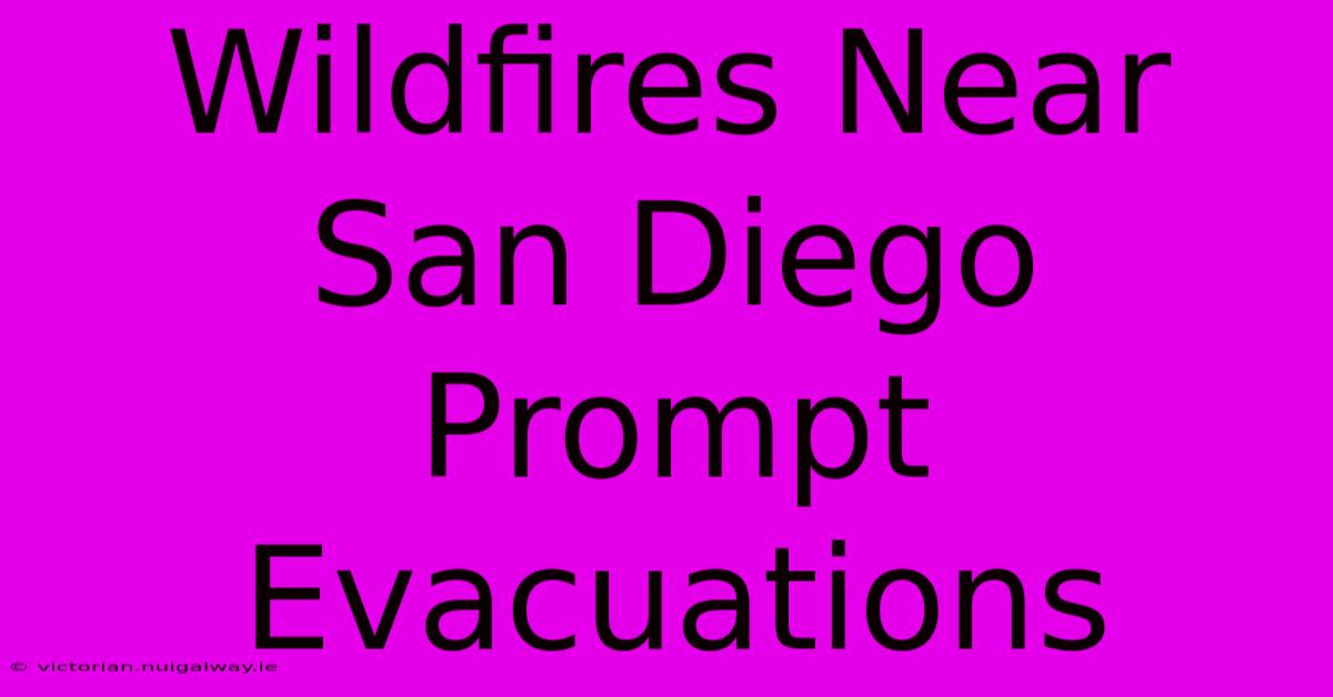 Wildfires Near San Diego Prompt Evacuations