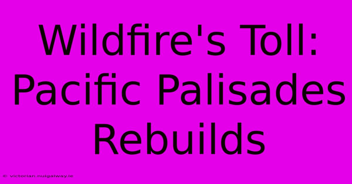 Wildfire's Toll: Pacific Palisades Rebuilds