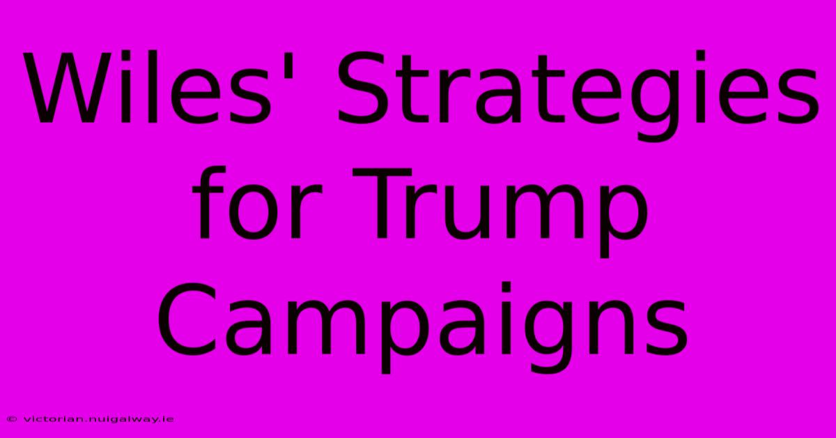 Wiles' Strategies For Trump Campaigns 