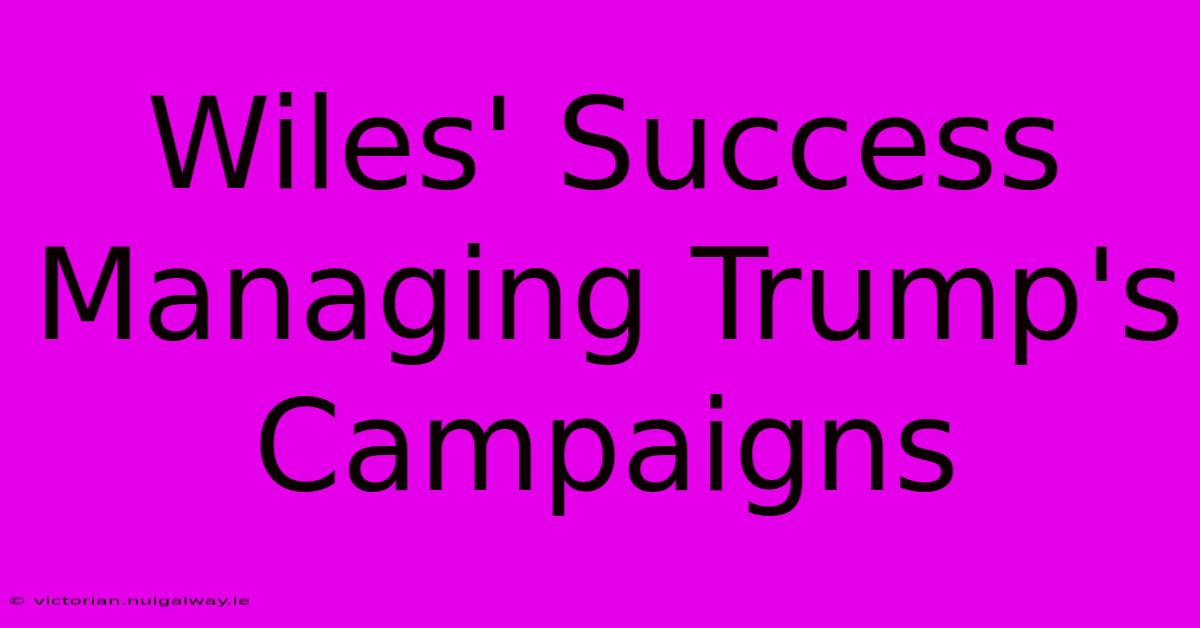 Wiles' Success Managing Trump's Campaigns