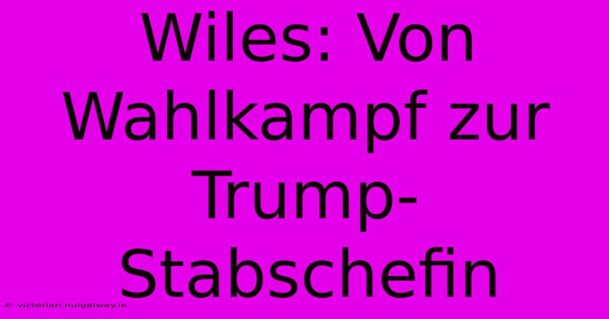 Wiles: Von Wahlkampf Zur Trump-Stabschefin