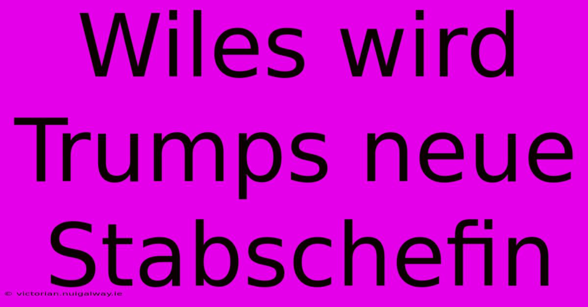 Wiles Wird Trumps Neue Stabschefin 