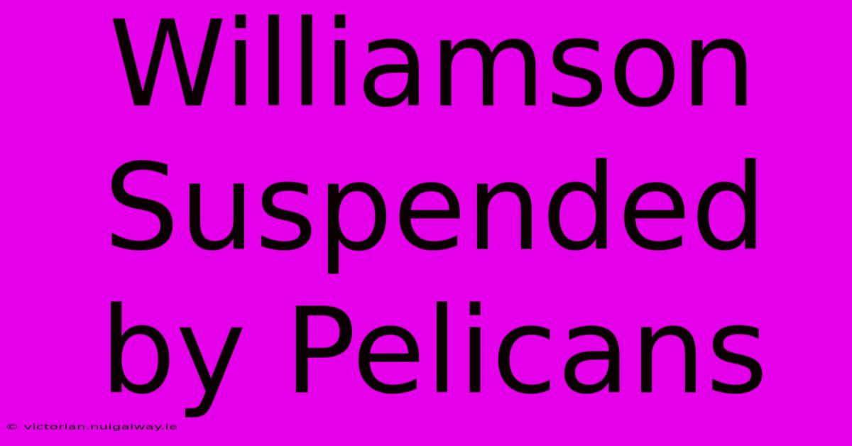 Williamson Suspended By Pelicans