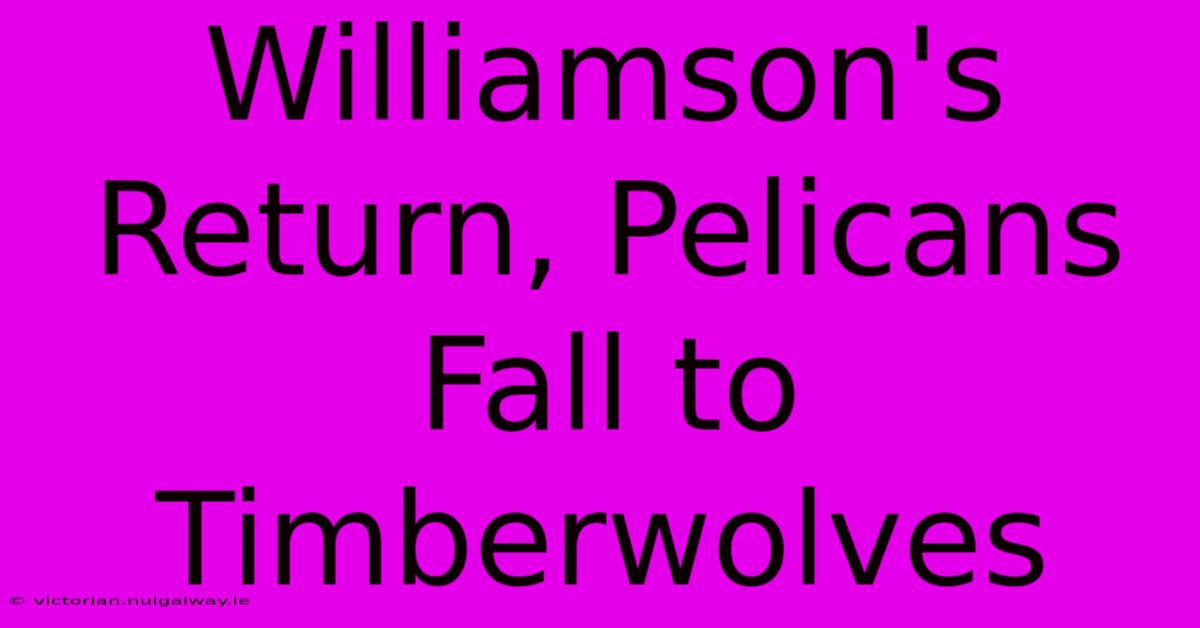 Williamson's Return, Pelicans Fall To Timberwolves