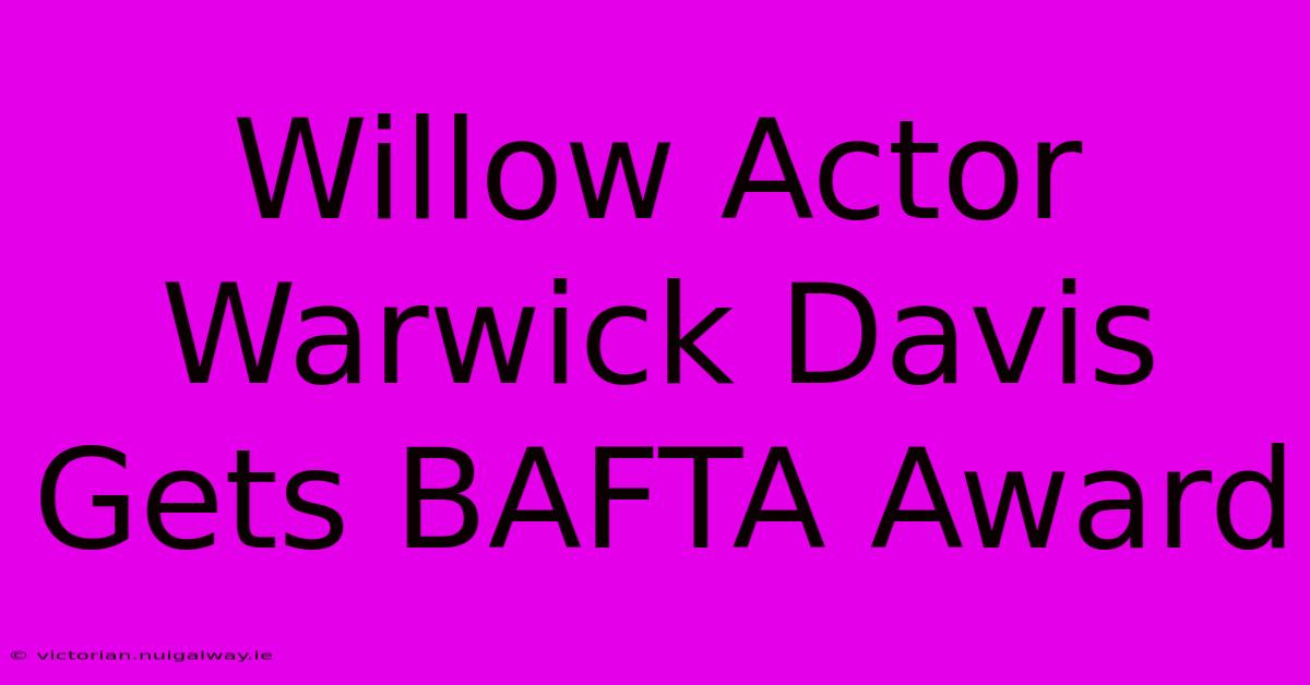 Willow Actor Warwick Davis Gets BAFTA Award