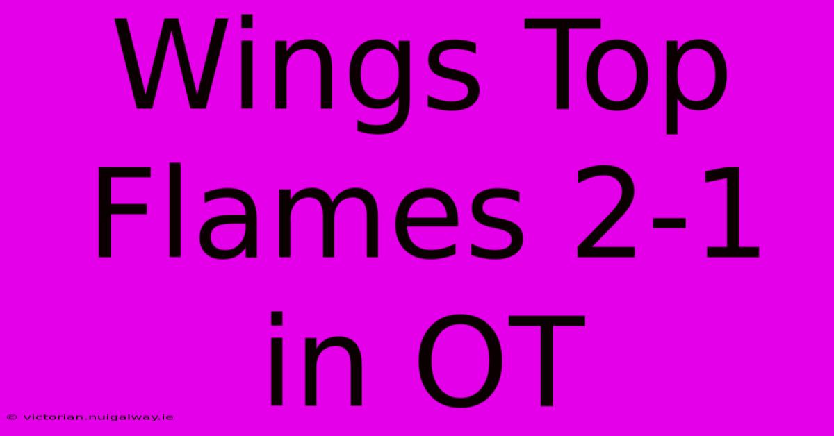 Wings Top Flames 2-1 In OT